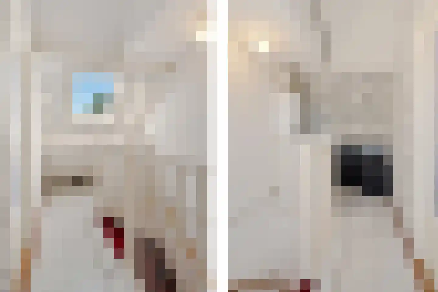 Patrijzenveld 36 Zoetermeer thumbnail 44