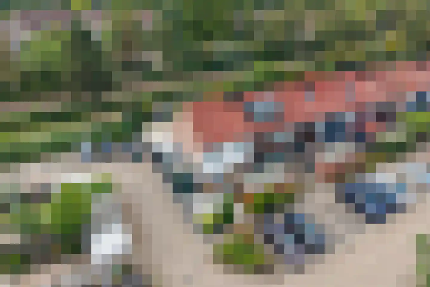Patrijzenveld 36 Zoetermeer thumbnail 6