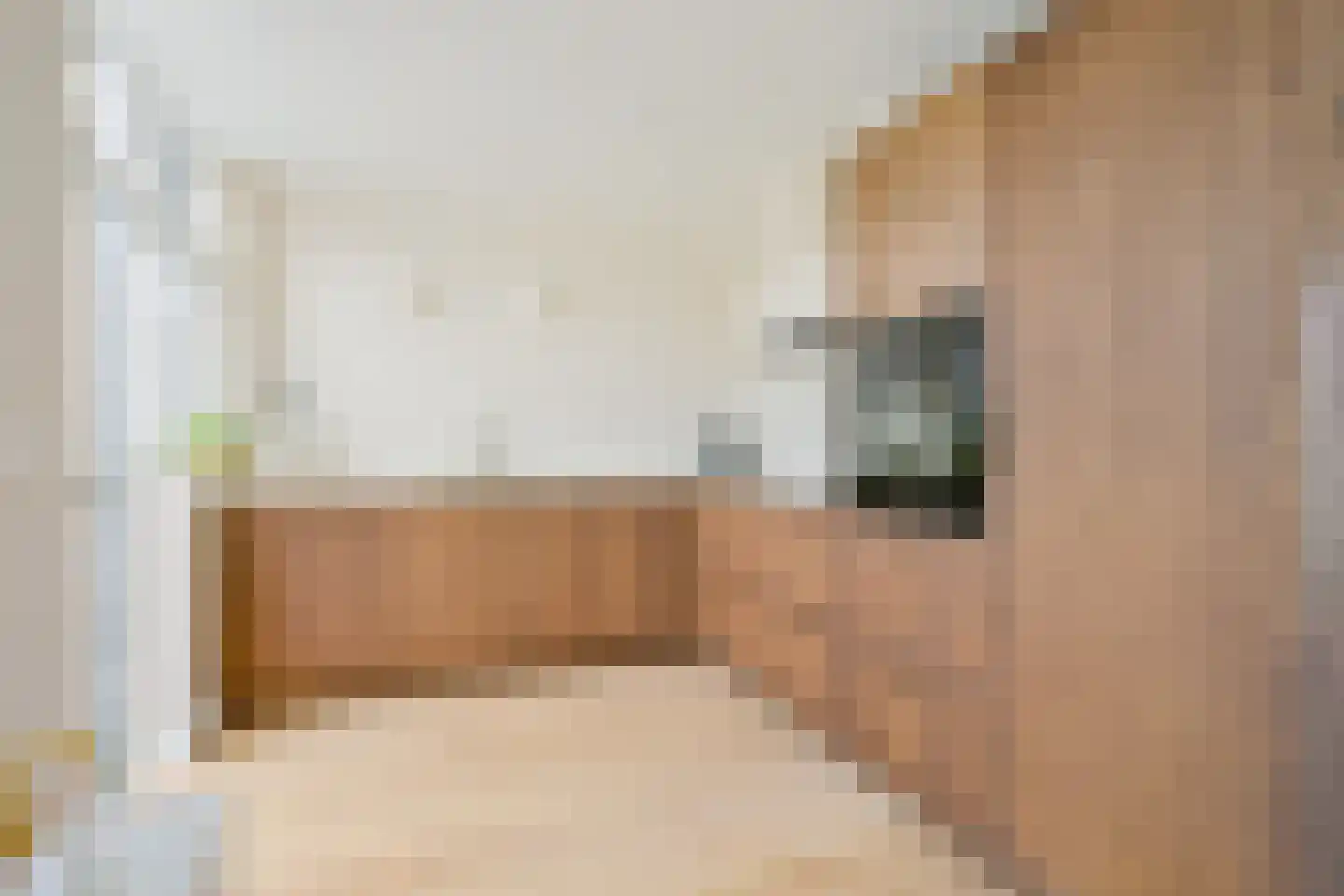 Patrijzenweg 17 Callantsoog thumbnail 11