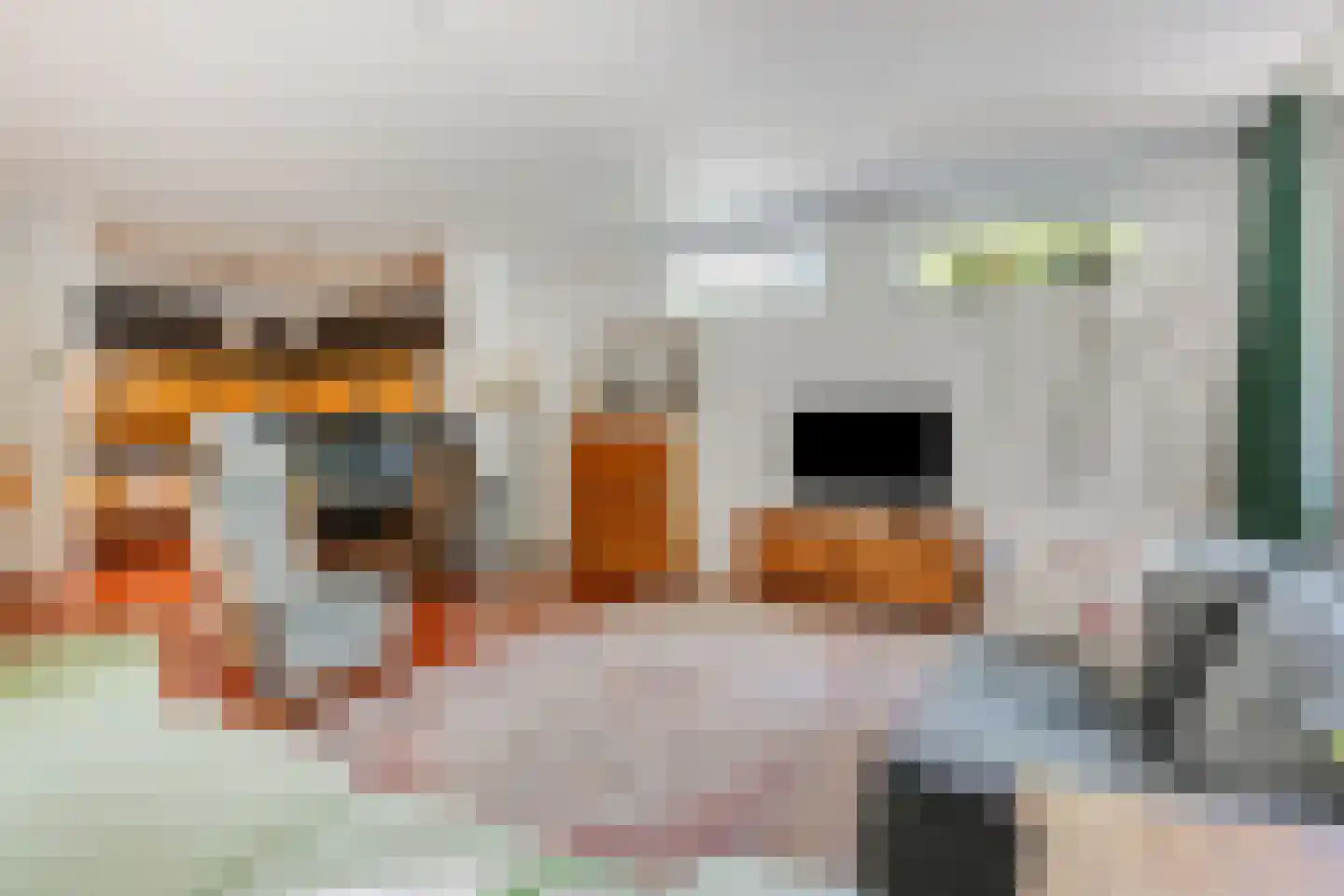 Patrimoniumlaan 10 Veenendaal thumbnail 10