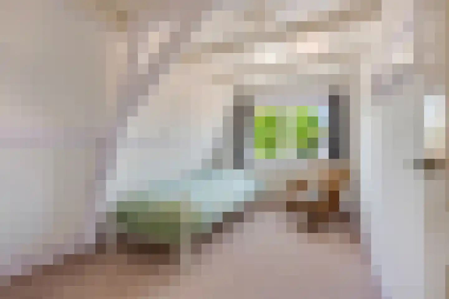 Patrimoniumlaan 10 Veenendaal thumbnail 20