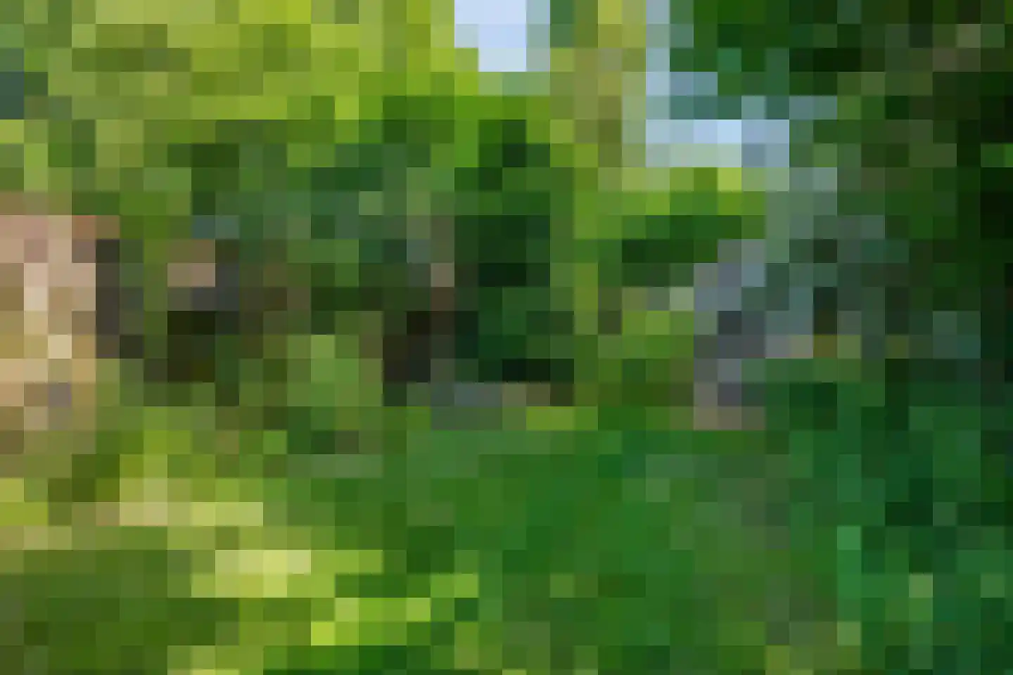 Patrimoniumlaan 10 Veenendaal thumbnail 30