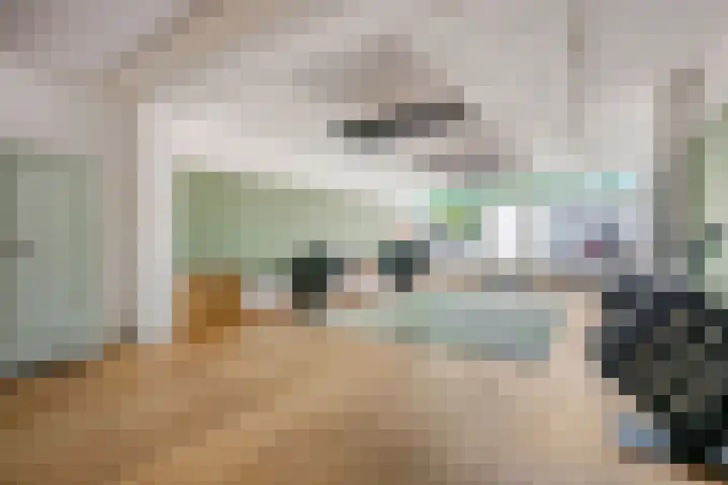 Patrimoniumlaan 10 Veenendaal thumbnail 4