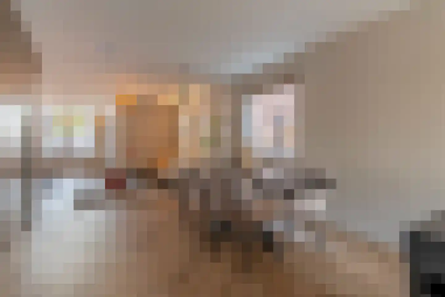 Patrimoniumlaan 11 Veenendaal thumbnail 10