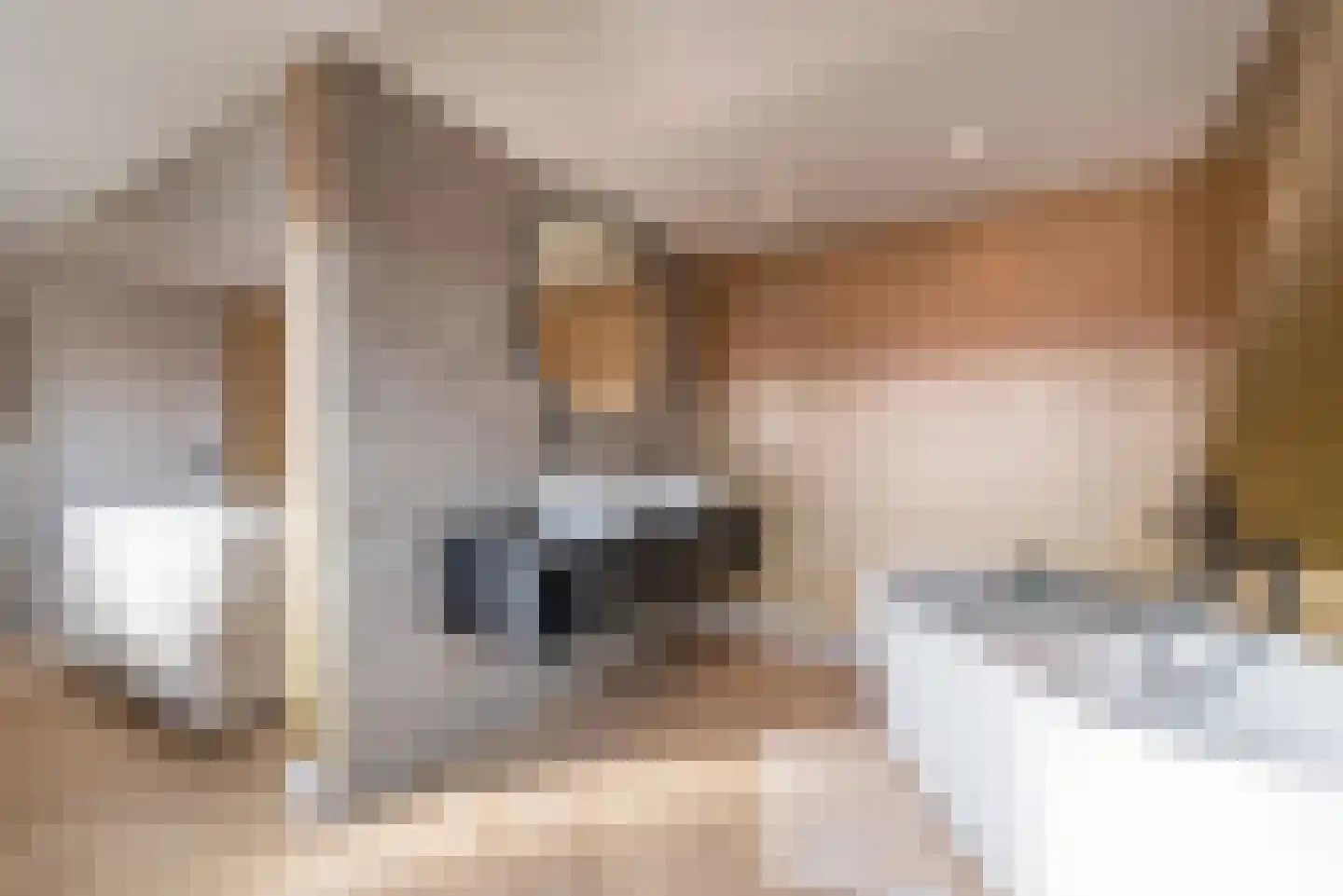 Patrimoniumlaan 11 Veenendaal thumbnail 34