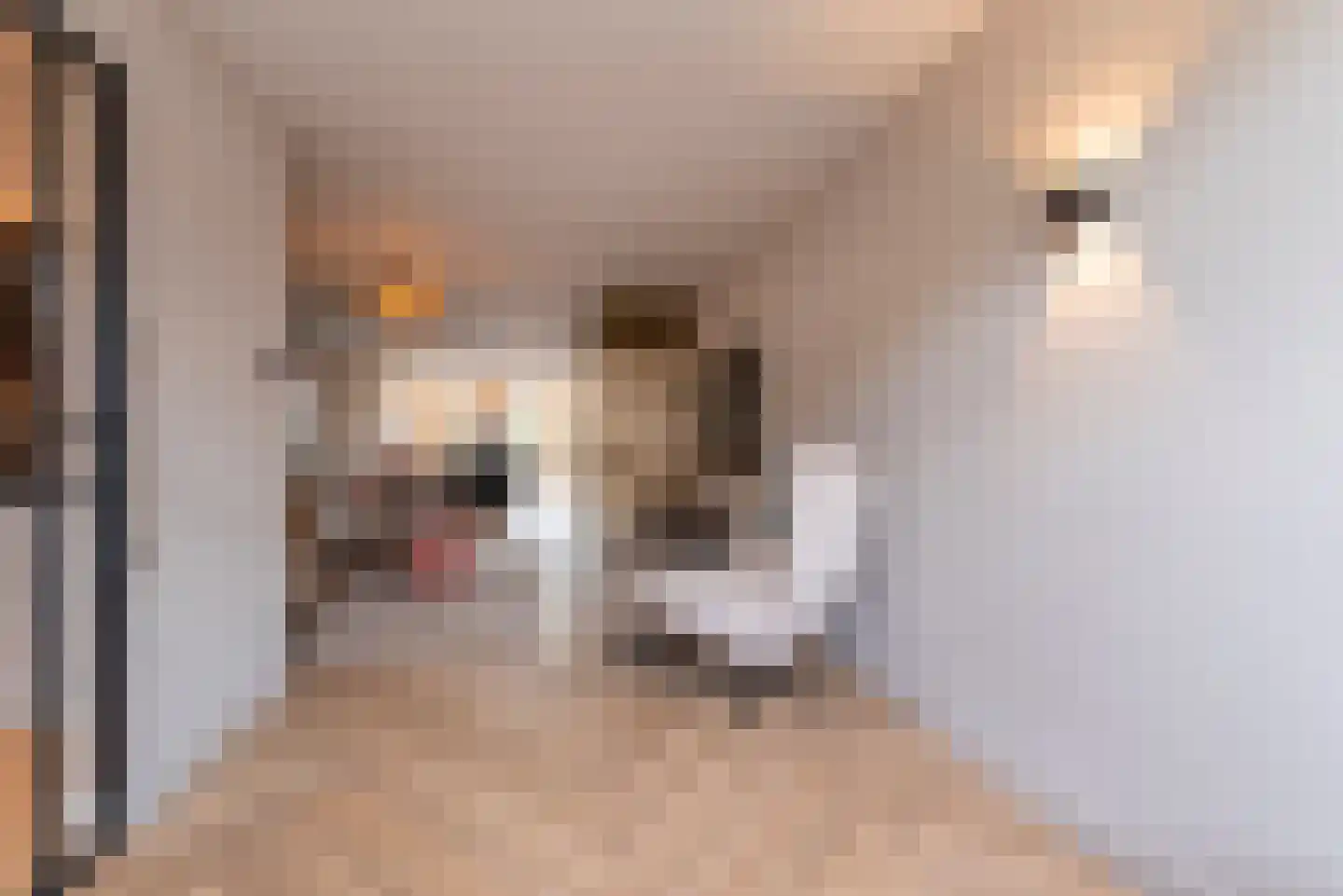 Patrimoniumlaan 11 Veenendaal thumbnail 5