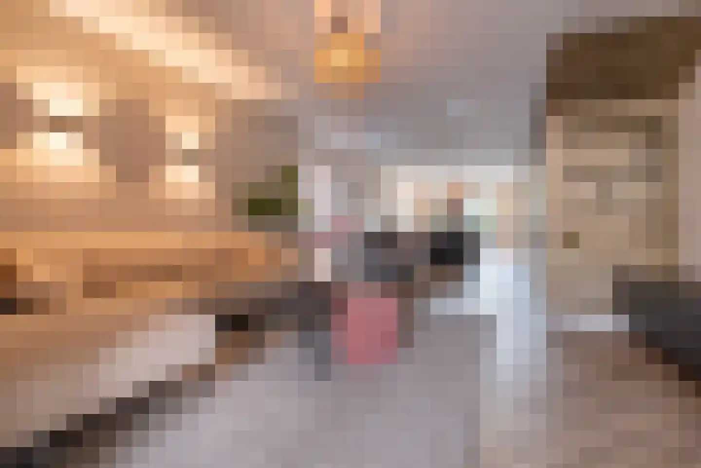 Patrimoniumlaan 11 Veenendaal thumbnail 7