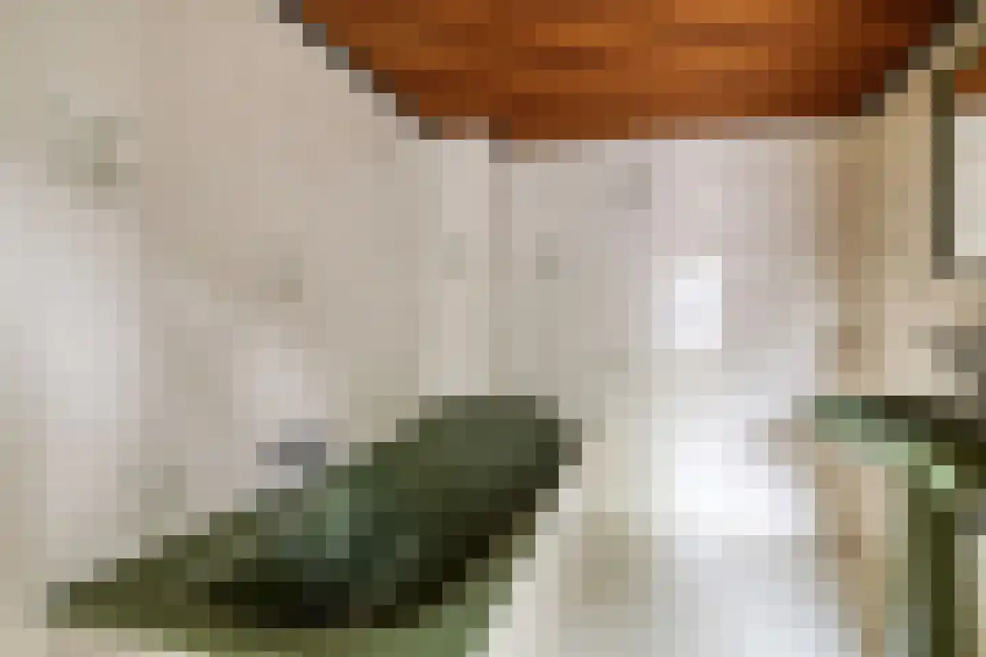 Patrimoniumlaan 111 Veenendaal thumbnail 31