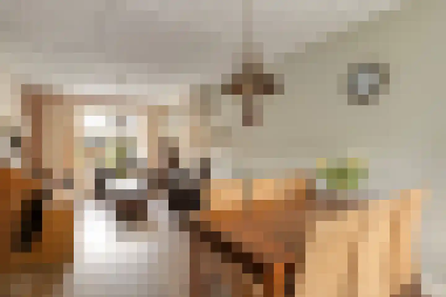 Patrimoniumlaan 111 Veenendaal thumbnail 4