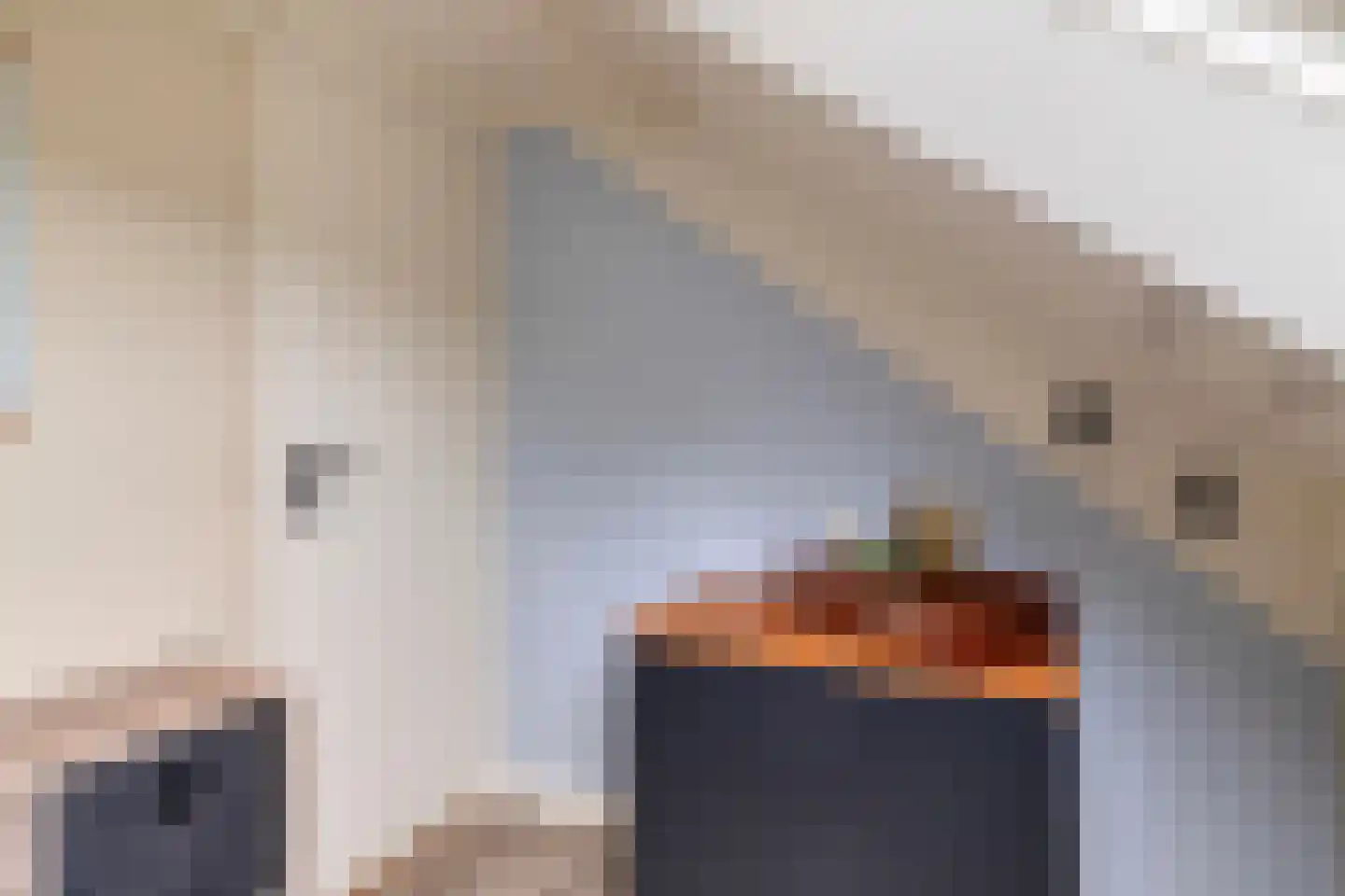 Patrimoniumlaan 111 Veenendaal thumbnail 41