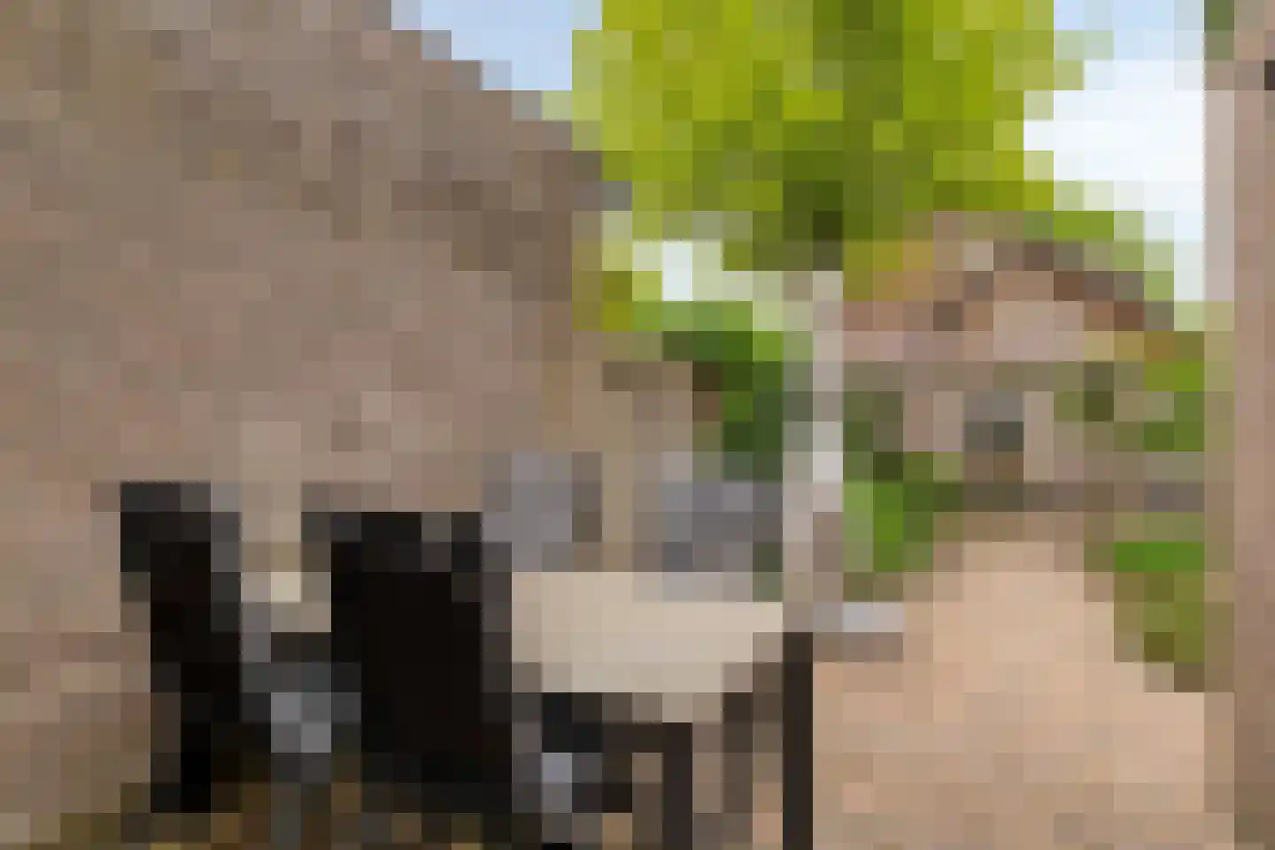 Patrimoniumlaan 111 Veenendaal thumbnail 42