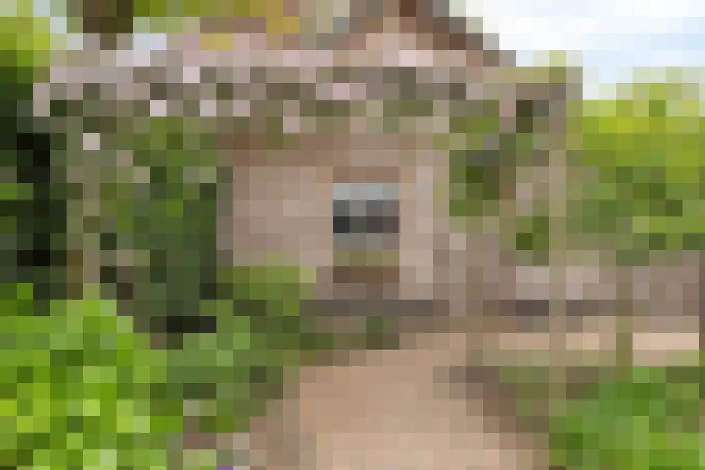 Patrimoniumlaan 111 Veenendaal thumbnail 49