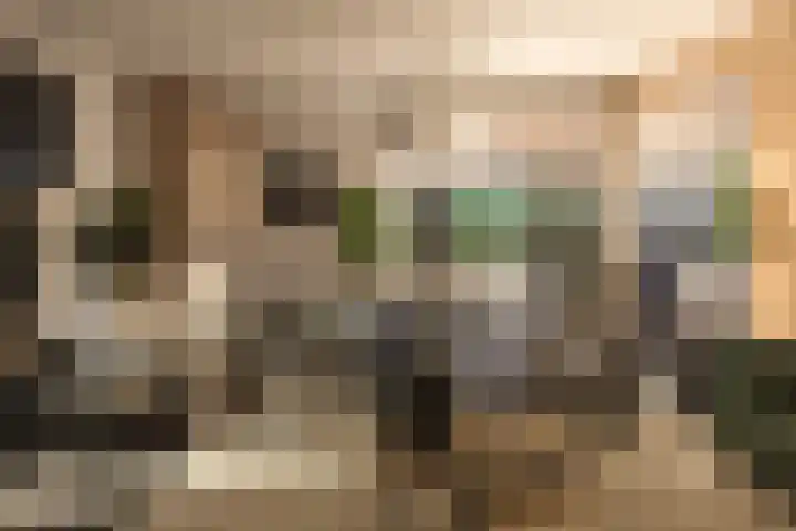 Patrimoniumlaan 17 Veenendaal thumbnail 4