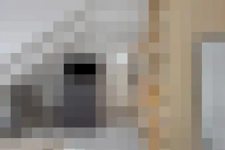Patrimoniumlaan 18 A Veenendaal thumbnail 11