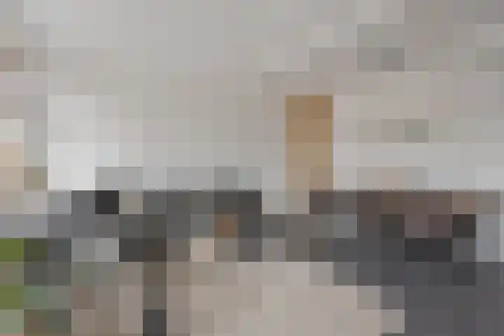 Patrimoniumlaan 18 A Veenendaal thumbnail 12