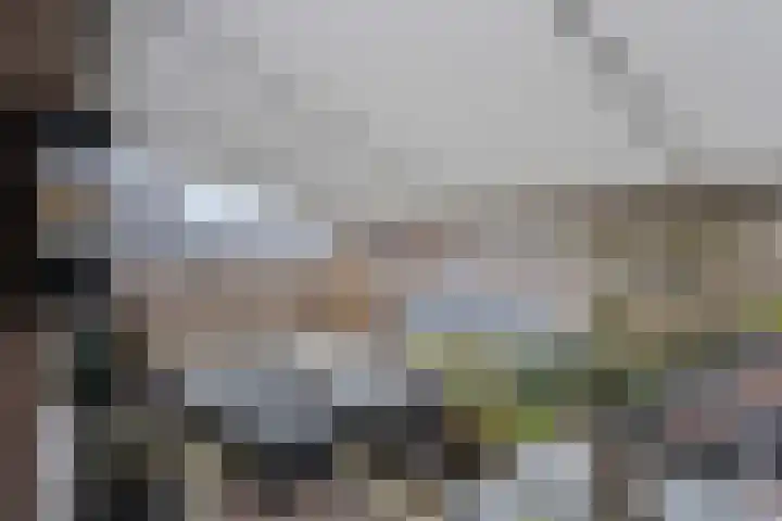 Patrimoniumlaan 18 A Veenendaal thumbnail 16