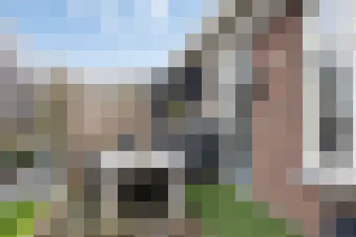 Patrimoniumlaan 18 A Veenendaal thumbnail 17