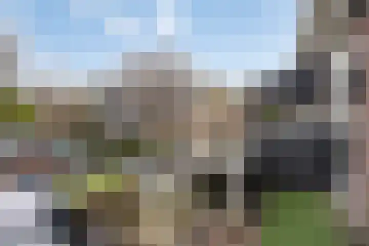 Patrimoniumlaan 18 A Veenendaal thumbnail 18
