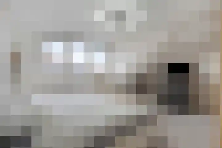 Patrimoniumlaan 18 A Veenendaal thumbnail 21