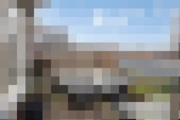 Patrimoniumlaan 18 A Veenendaal thumbnail 4
