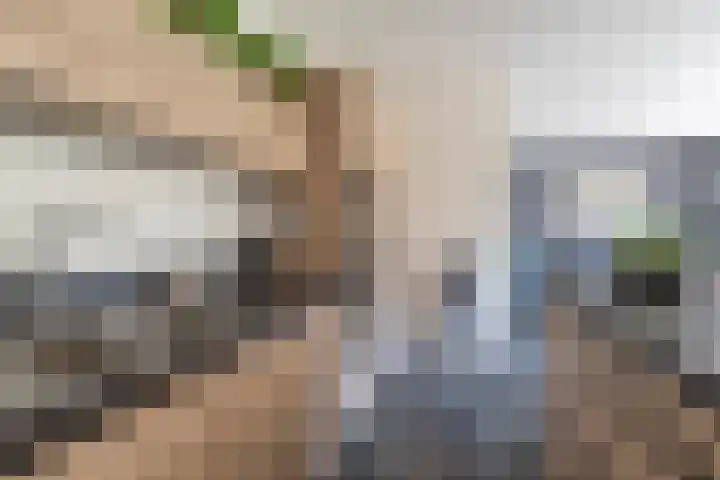 Patrimoniumlaan 24 D Veenendaal thumbnail 12