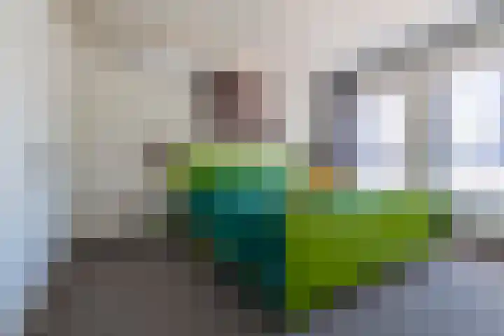 Patrimoniumlaan 24 D Veenendaal thumbnail 15
