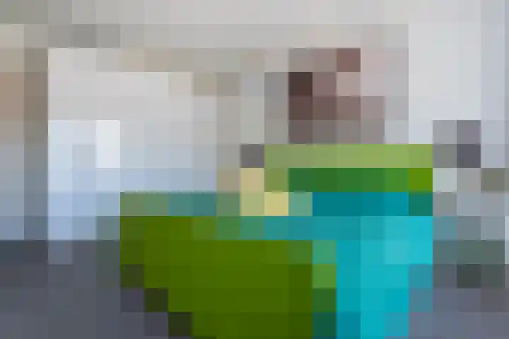 Patrimoniumlaan 24 D Veenendaal thumbnail 16