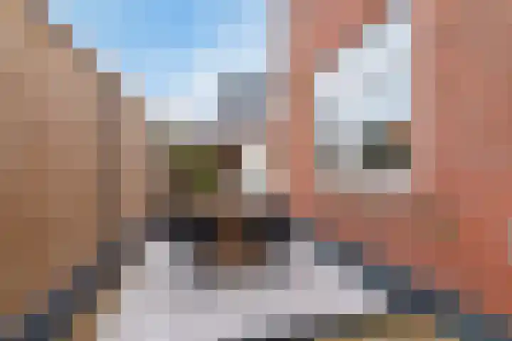 Patrimoniumlaan 74 Veenendaal thumbnail 31