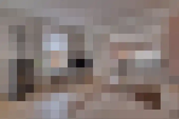 Patrimoniumlaan 74 Veenendaal thumbnail 5