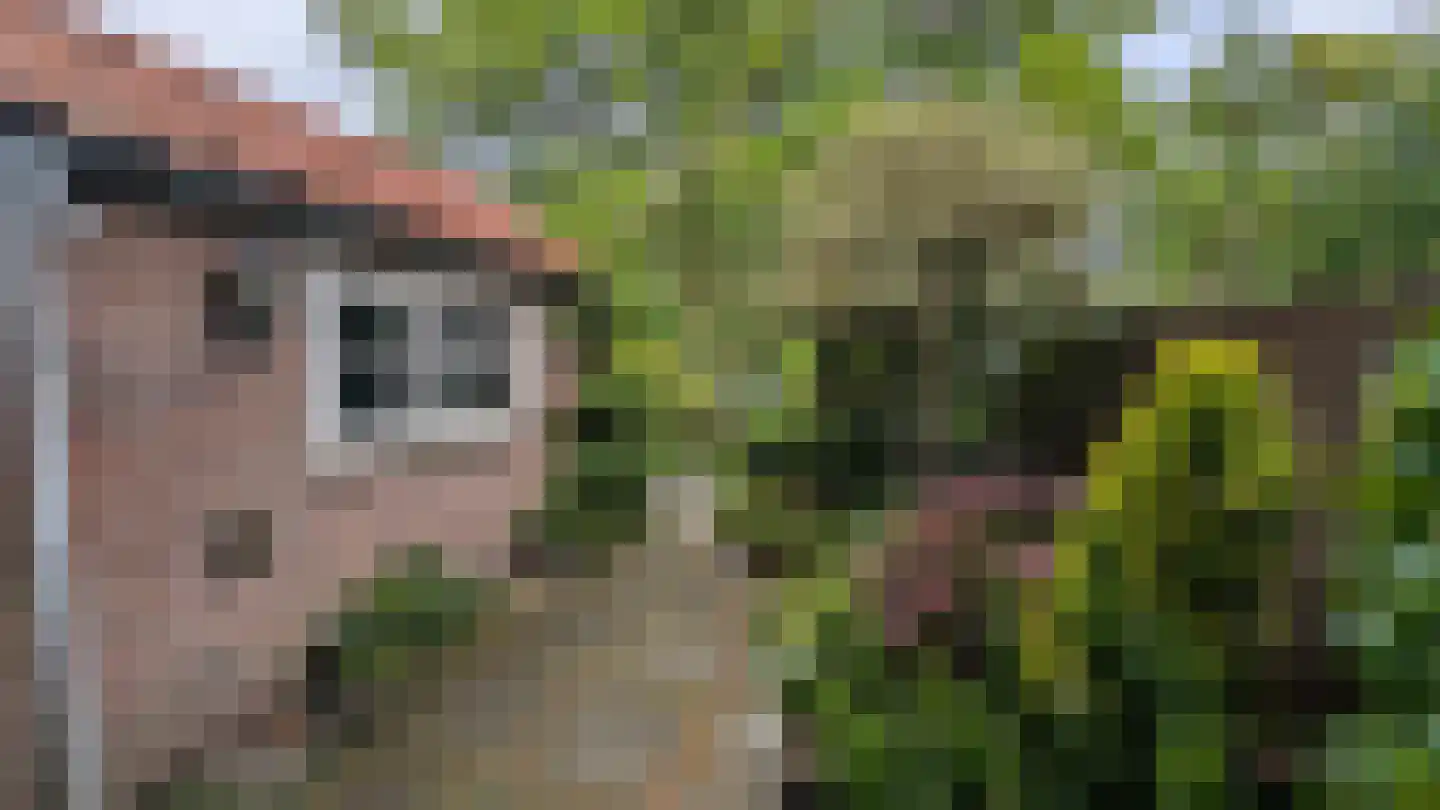 Patrimoniumpark 1 Leiderdorp thumbnail 16