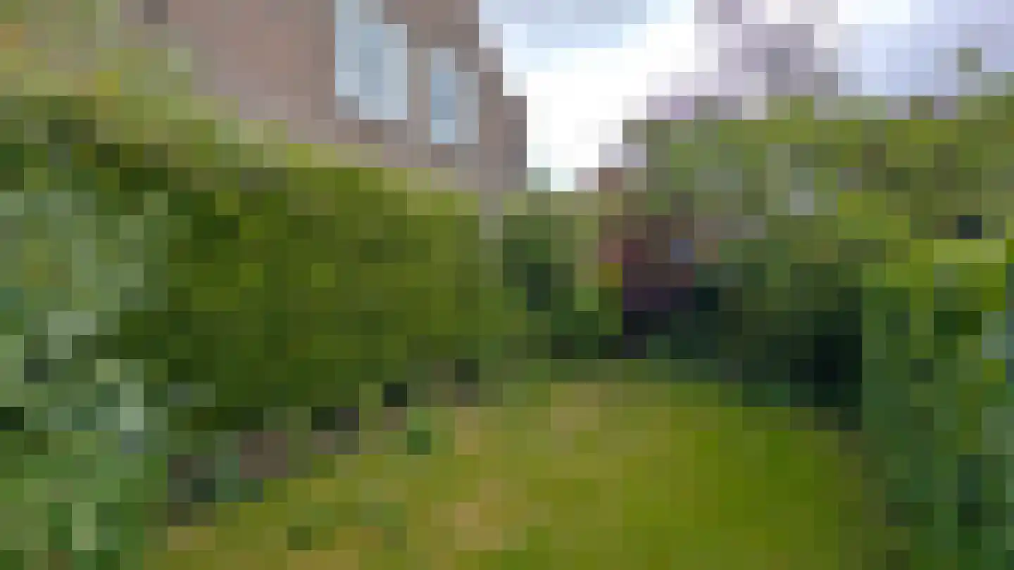 Patrimoniumpark 1 Leiderdorp thumbnail 19