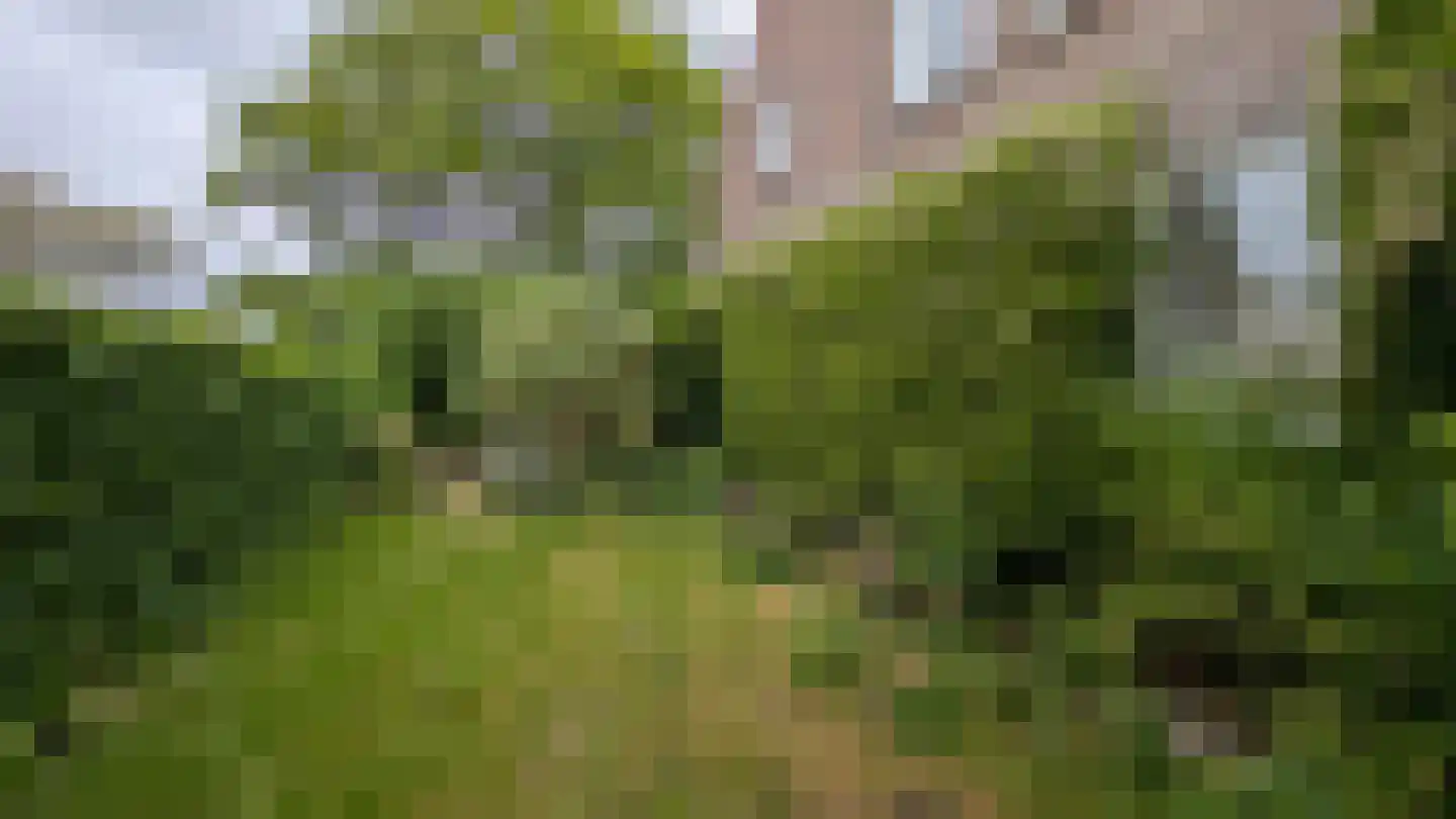 Patrimoniumpark 1 Leiderdorp thumbnail 20