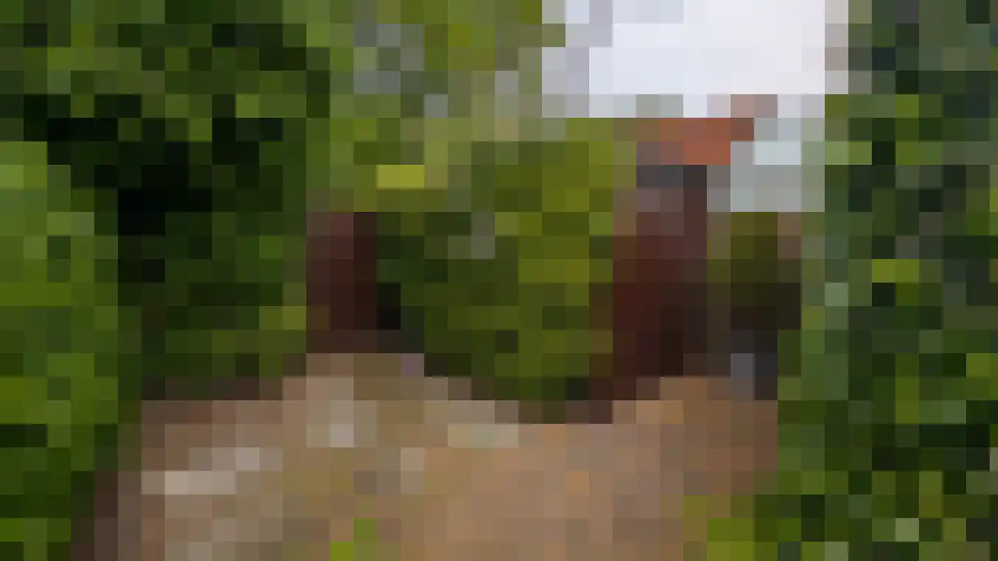 Patrimoniumpark 1 Leiderdorp thumbnail 21