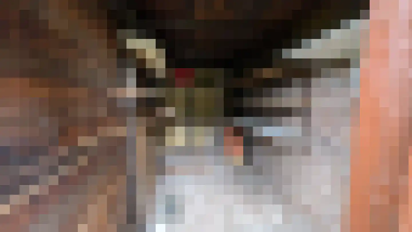 Patrimoniumpark 1 Leiderdorp thumbnail 22