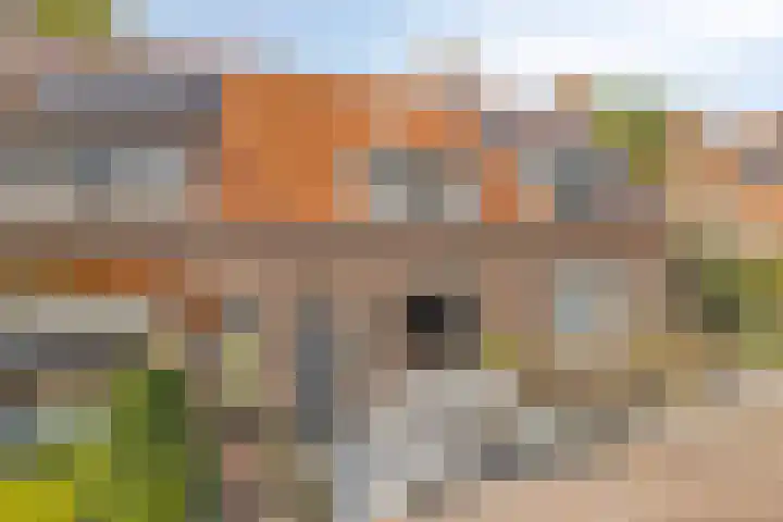 Patrimoniumpark 5 Leiderdorp thumbnail 27