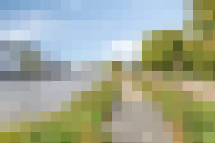 Patrimoniumpark 5 Leiderdorp thumbnail 34