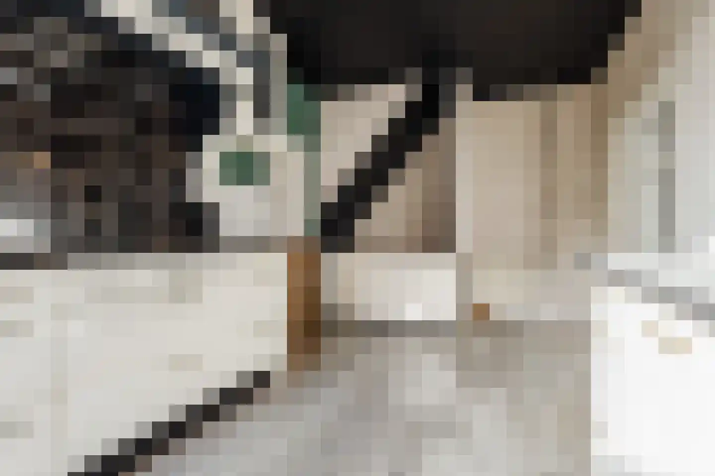 Patrimoniumstraat 13 Aalten thumbnail 14
