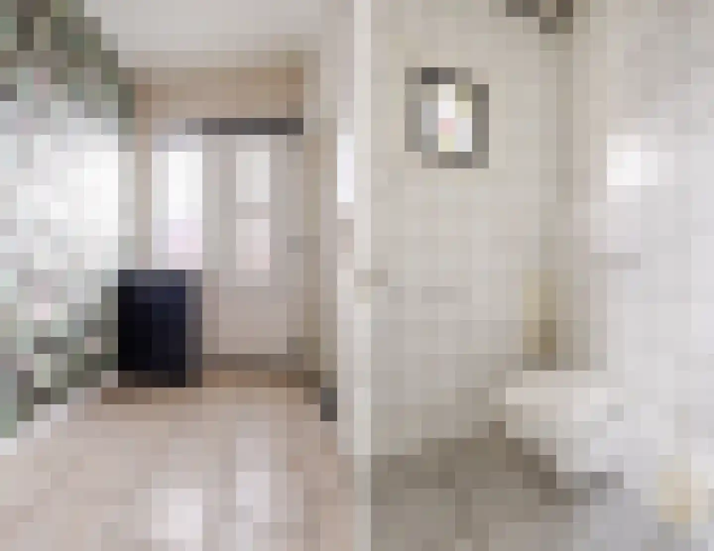Patrimoniumstraat 13 Aalten thumbnail 23