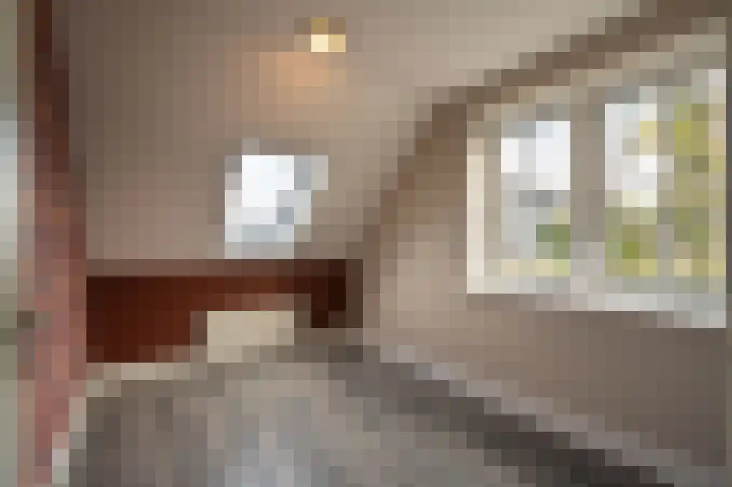 Patrimoniumstraat 16 Leerdam thumbnail 24