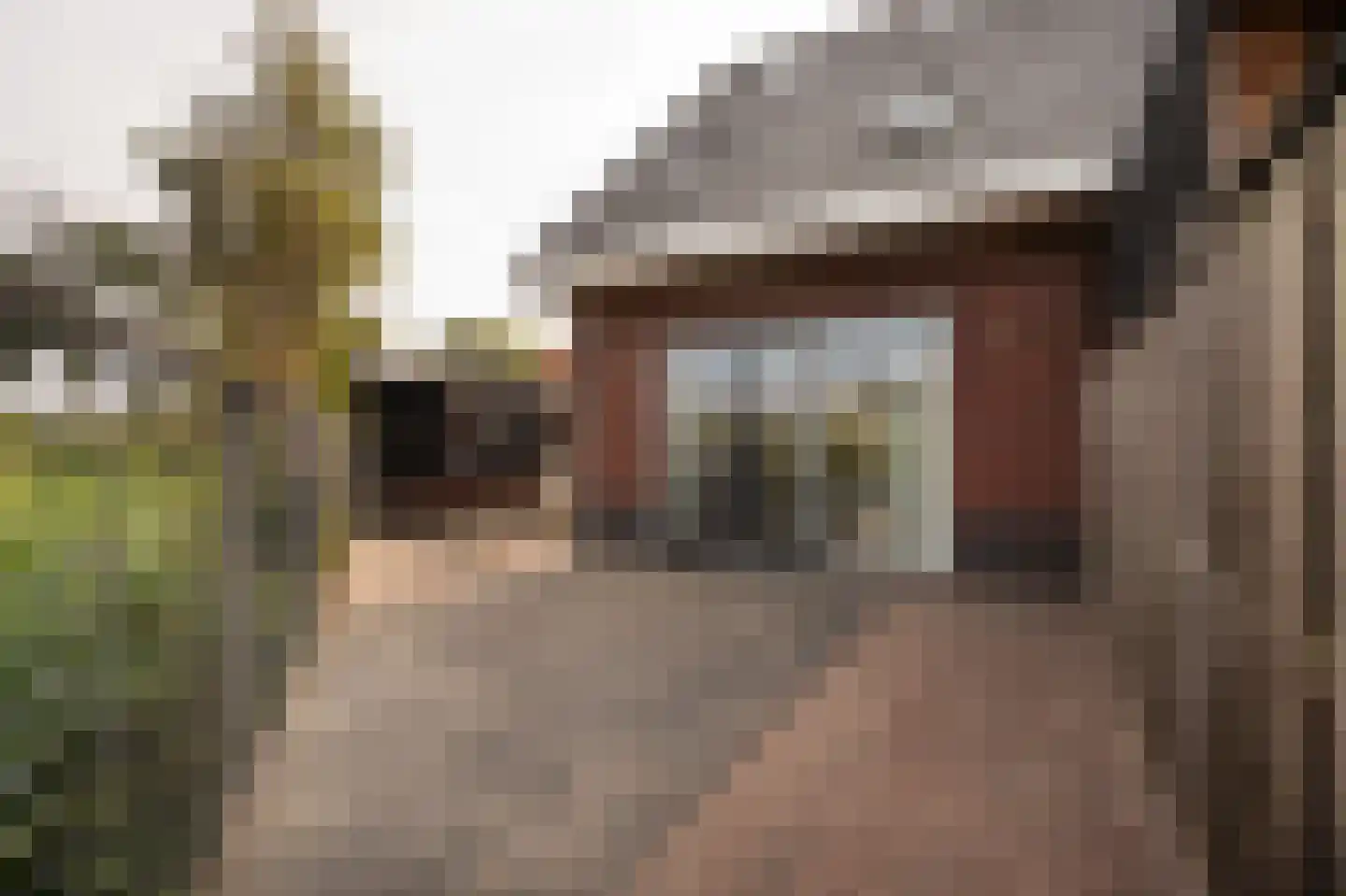 Patrimoniumstraat 16 Leerdam thumbnail 5