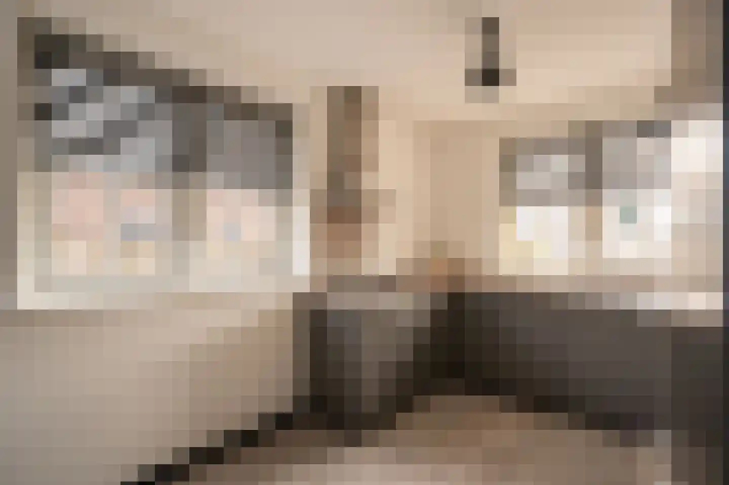 Patrimoniumstraat 16 Leerdam thumbnail 8