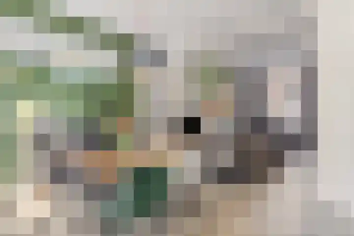 Patrimoniumstraat 25 Kampen thumbnail 8