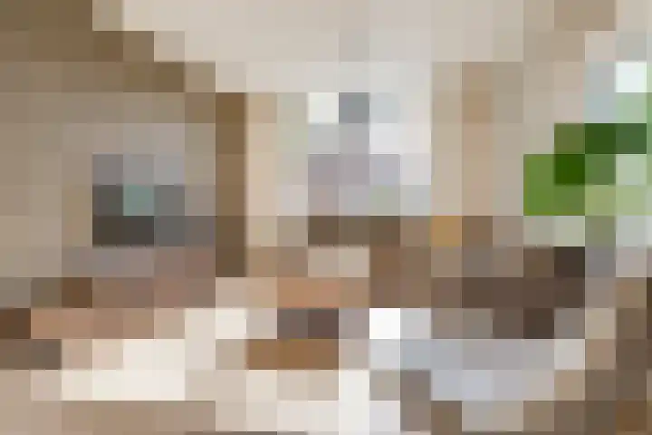 Patrimoniumstraat 3 Aalten thumbnail 10