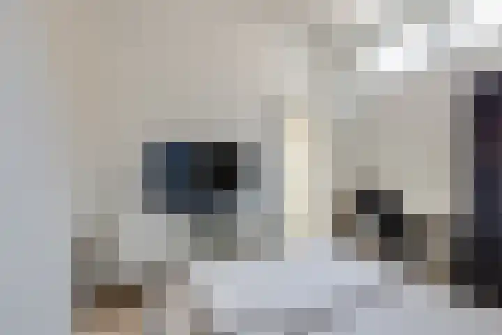 Patrimoniumstraat 3 Aalten thumbnail 21