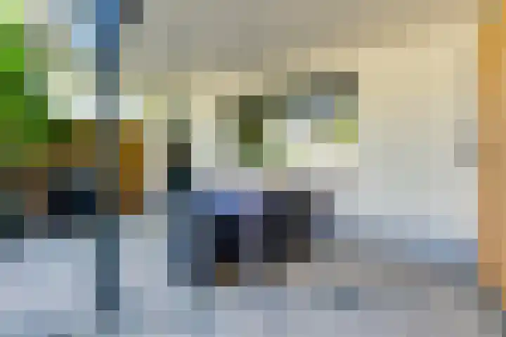 Patrimoniumstraat 3 Aalten thumbnail 34