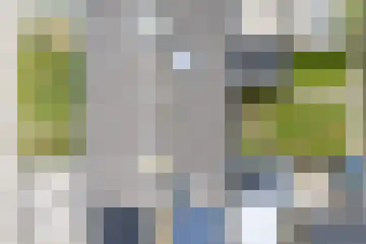 Patrimoniumstraat 3 Kollumerpomp thumbnail 4