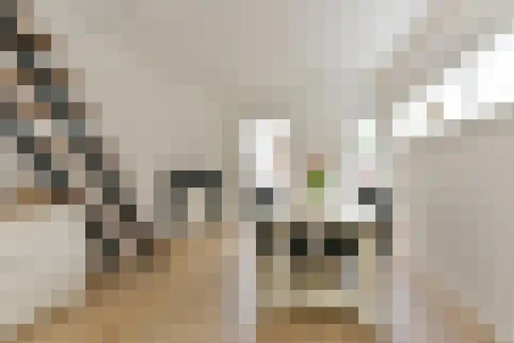 Patrimoniumstraat 5 Driebergen-Rijsenburg thumbnail 11