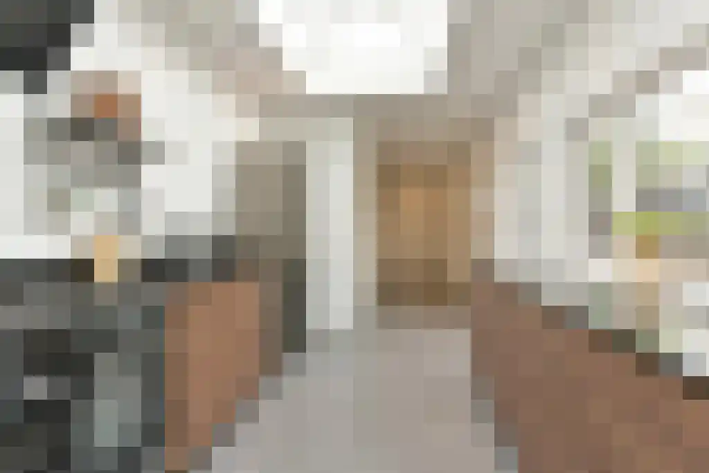 Patrimoniumstraat 5 Driebergen-Rijsenburg thumbnail 13