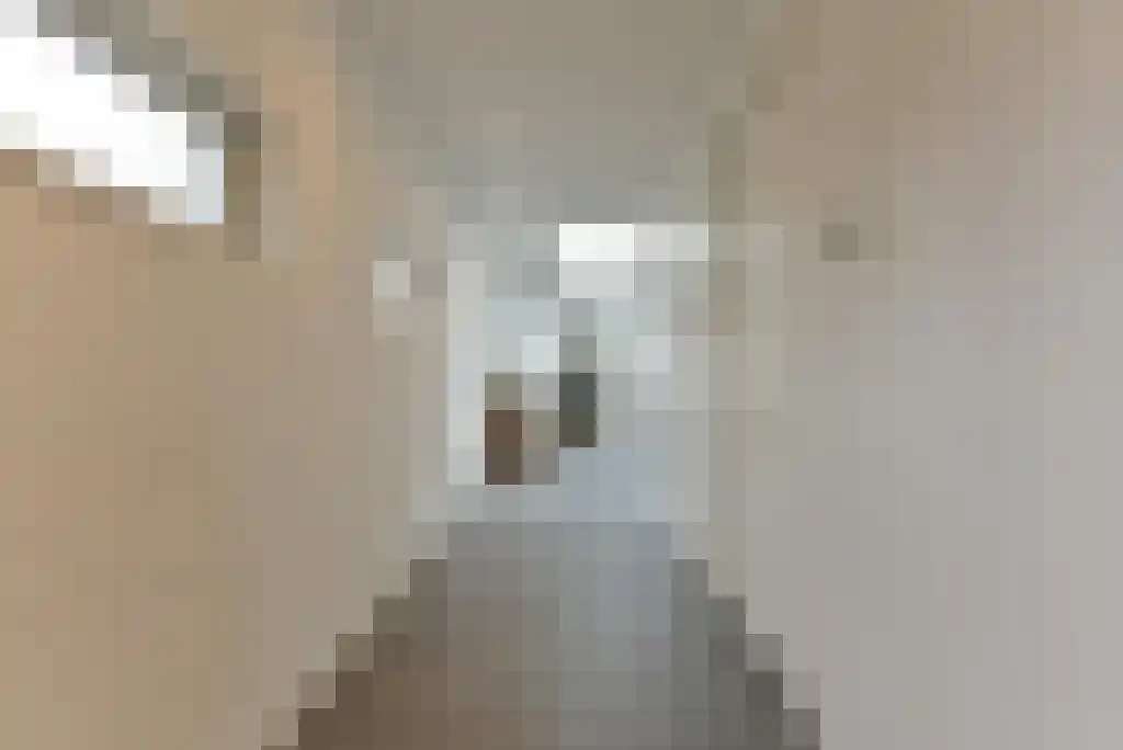 Patrimoniumstraat 5 Driebergen-Rijsenburg thumbnail 19