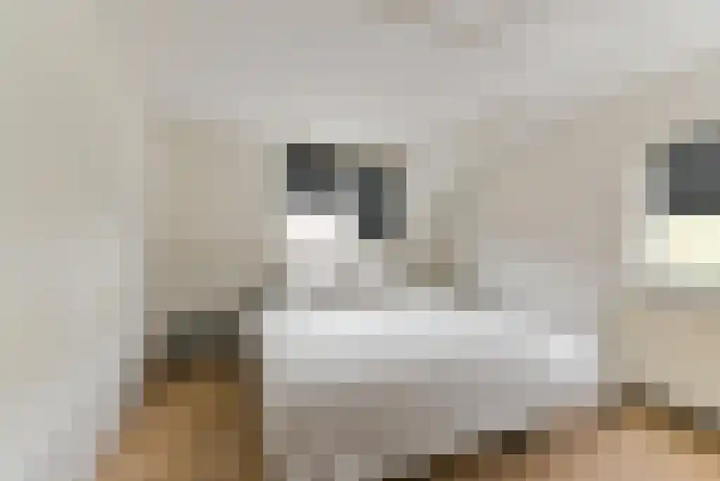 Patrimoniumstraat 5 Driebergen-Rijsenburg thumbnail 22